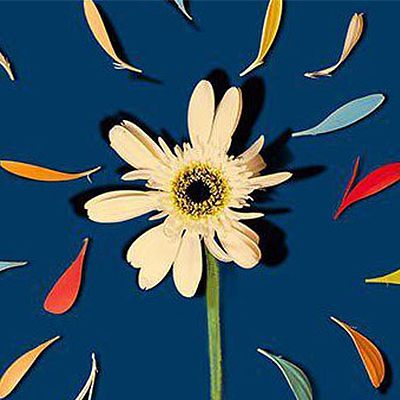 نمایشگاه تصویرسازی «ادیان توحیدی»