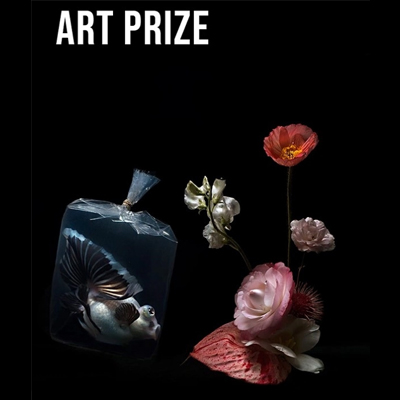 فراخوان جایزه هنری Aesthetica