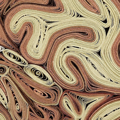 ساخت آناتومی با کاغذ