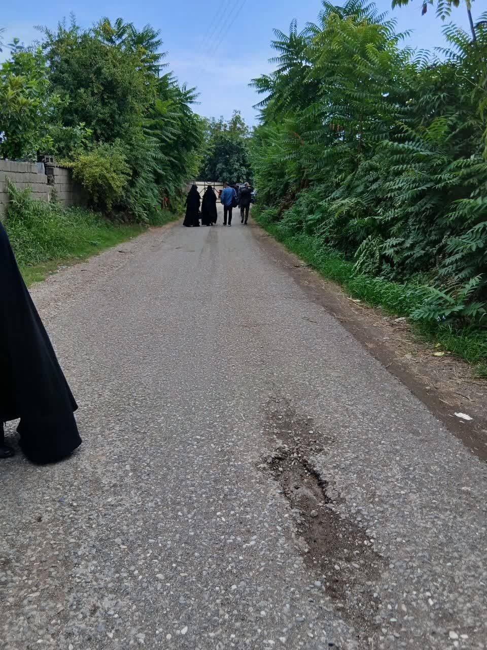 نامی که برای همیشه سبز ماند